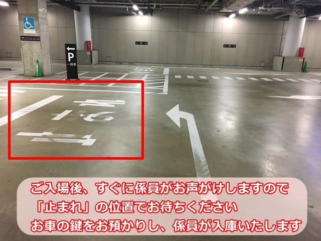 手順3.ご入場後、すぐに係員がお声がけしますので「止まれ」の位置でお待ちください。お車の鍵をお預かりし、係員が入庫いたします。