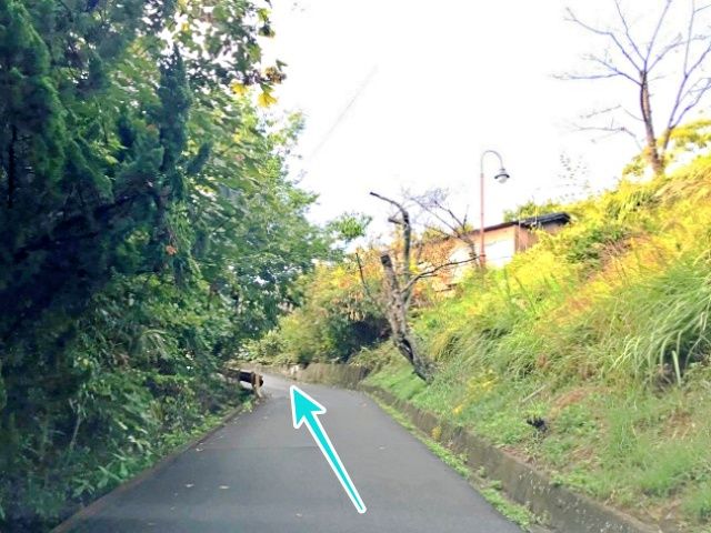 道なりに進みます