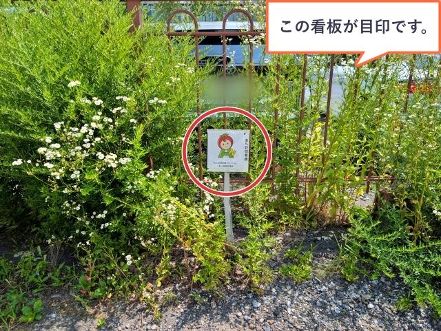 【諏訪湖の花火】8/15 アキッパ 茅野市ちの3499-7臨時駐車場の駐車場写真