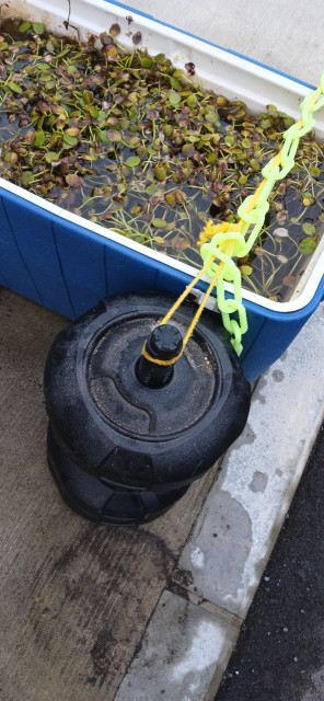 国府津 アキッパ駐車場の駐車場写真