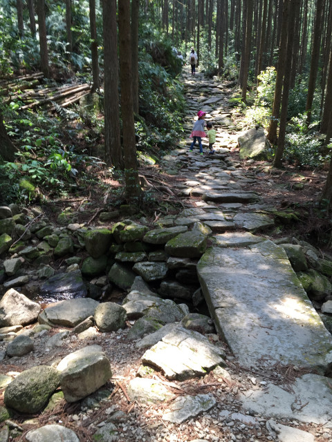 塩谷税理士事務所 駐車場　熊野古道馬越峠登り口すぐの駐車場写真