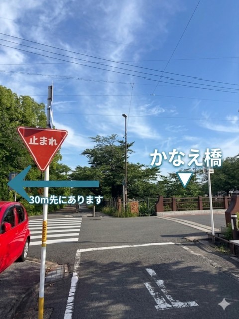 大殿町4-25-1 駐車場の駐車場写真
