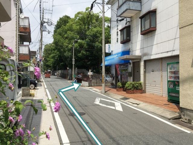 道順4. 目印、青いテナント 旭建設さんと、稲名野神社の森 の間にある駐車場