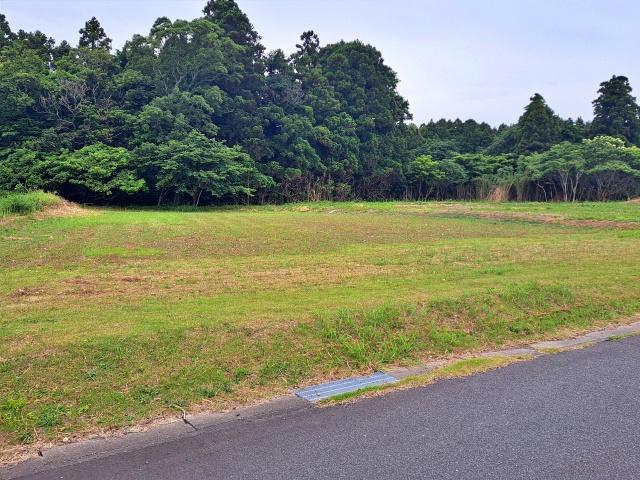 ひぬま苑臨時駐車場【大洗海上花火大会公式駐車場2026】の駐車場写真