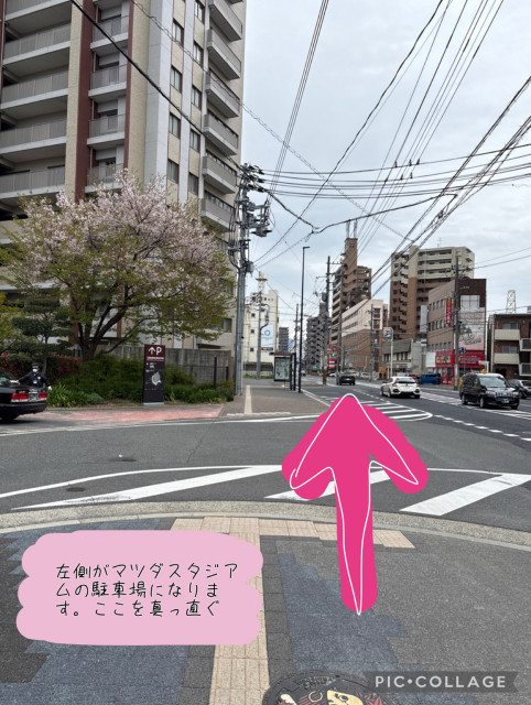 南蟹屋2丁目6-13駐車場の駐車場写真