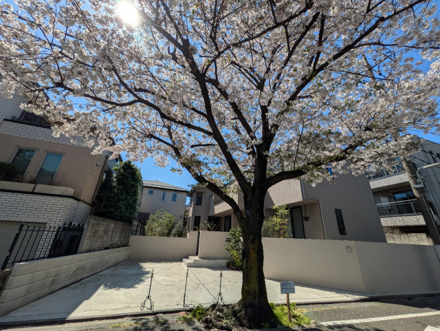 田園調布2-2-2 アキッパ駐車場の駐車場写真