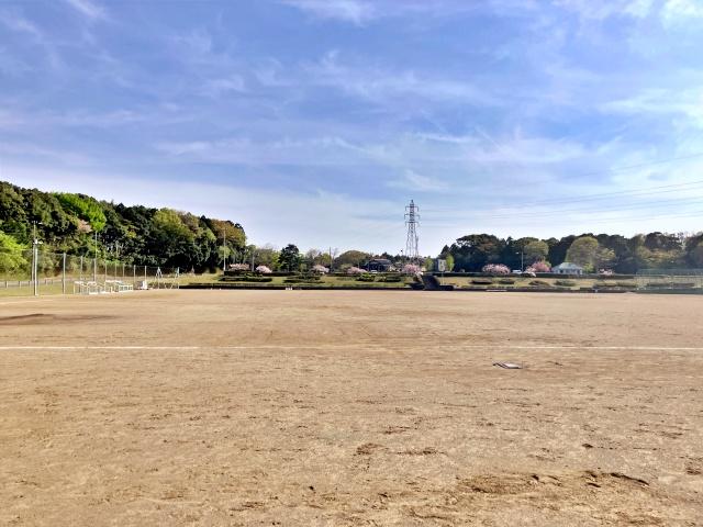 トヨペットエンジョイパーク駐車場【大洗海上花火大会公式駐車場2026】の駐車場写真