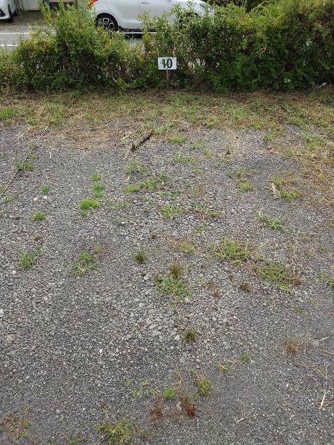 勝又パーキング駐車場No.10の駐車場写真