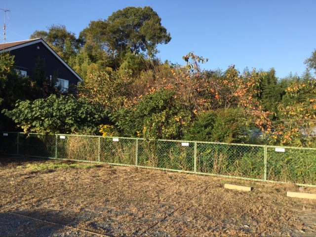 寝屋1-16 アキッパ駐車場の駐車場写真