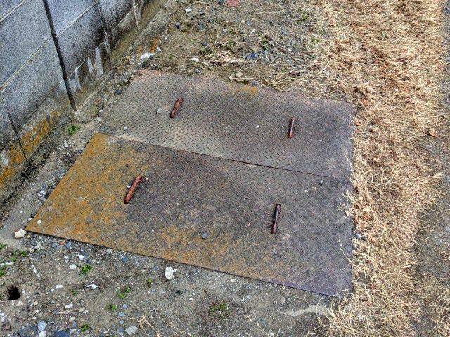 権現堂駐車場【2】の駐車場写真