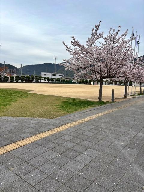 府中学園南グラウンド【備後国府まつり：12:00〜22:00】の駐車場写真