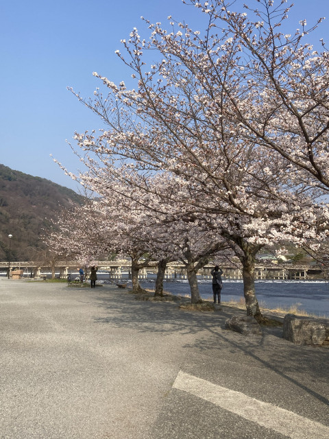 ＊嵐山茶尻町[安田]駐車場の駐車場写真