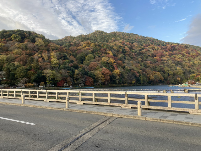 ＊嵐山茶尻町[安田]駐車場の駐車場写真