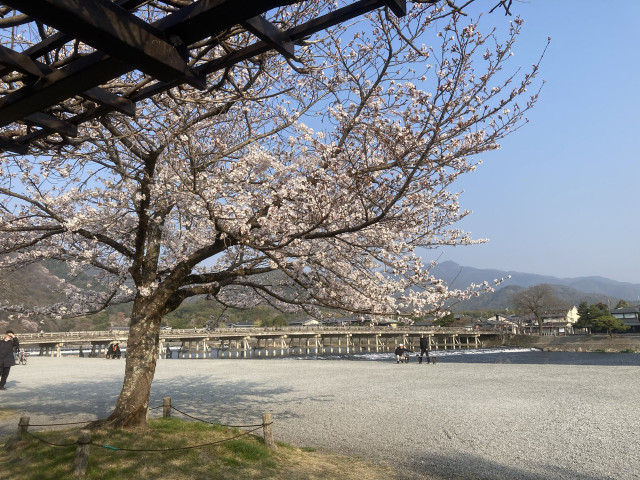 ＊嵐山茶尻町[安田]駐車場の駐車場写真