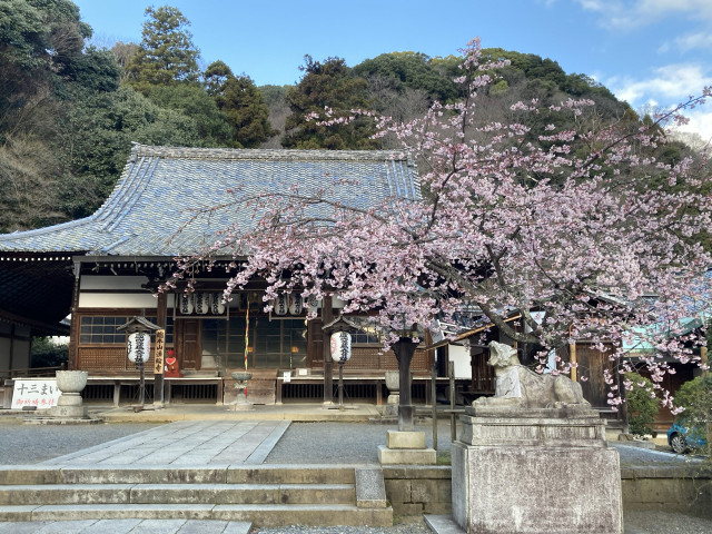 ＊嵐山茶尻町[安田]駐車場の駐車場写真