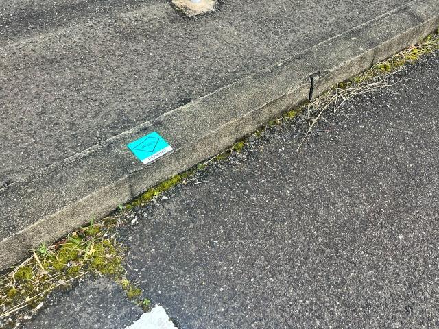 狭山団地駐車場(16号棟付近)の駐車場写真