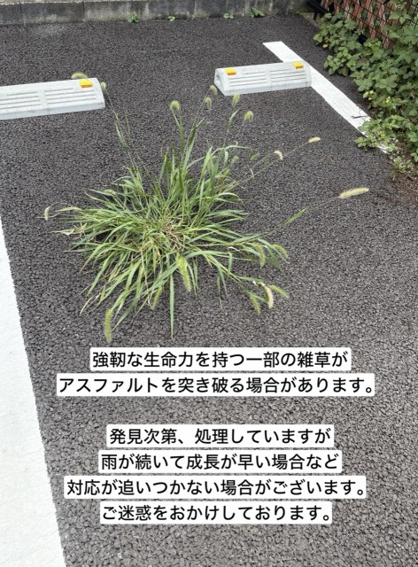 西原3丁目キキョウ駐車場の駐車場写真