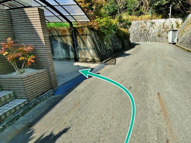 駐車場周辺