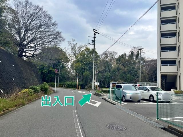 桃山台3丁 団地駐車場(13号棟付近)の駐車場写真