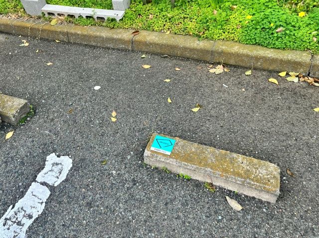 桃山台3丁 団地駐車場(13号棟付近)の駐車場写真