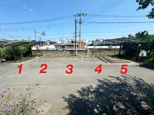 パザパ(PAS・A・PAS)菜の花ハウス駐車場の駐車場写真