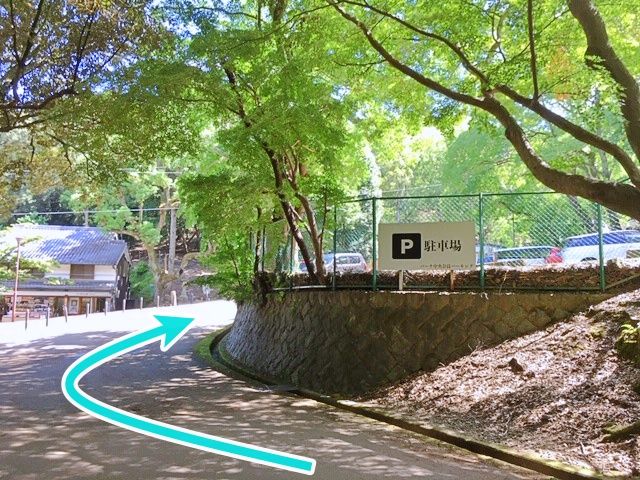 駐車場周辺①
