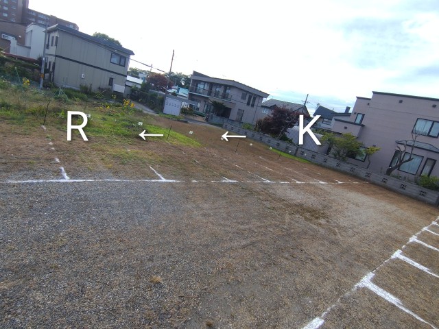 元中野町2丁目19番駐車場の駐車場写真
