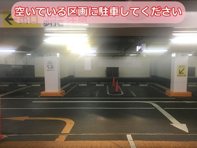 【道順2】空いている区画に駐車してください