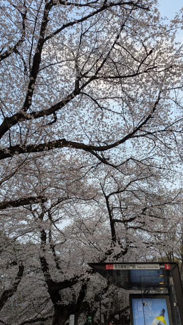 城西駐車場の駐車場写真