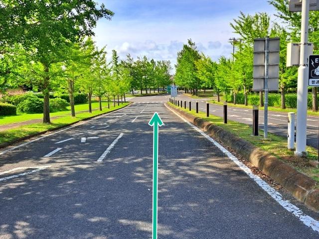 いこいの村涸沼臨時駐車場【大洗海上花火大会公式駐車場2026】の駐車場写真