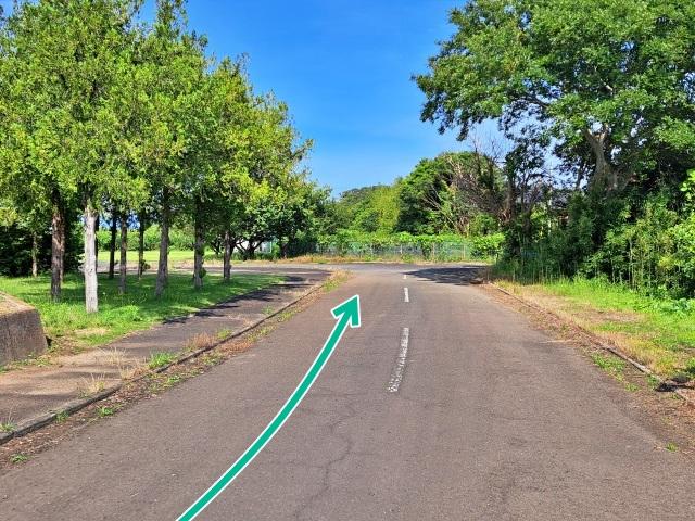 いこいの村涸沼臨時駐車場【大洗海上花火大会公式駐車場2026】の駐車場写真