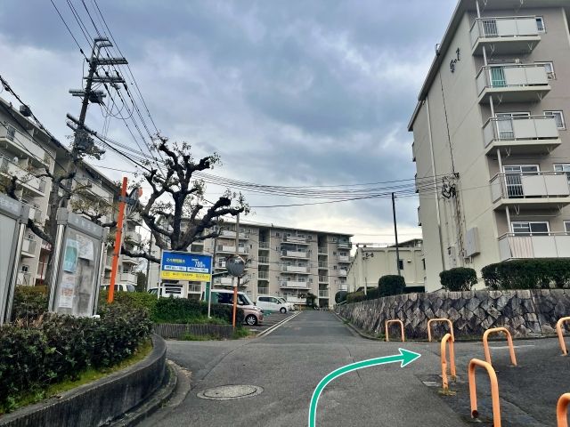 桃山台1丁 団地駐車場(10号棟付近)の駐車場写真