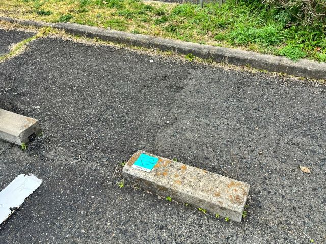桃山台1丁 団地駐車場(10号棟付近)の駐車場写真