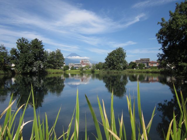 高村園駐車場の駐車場写真