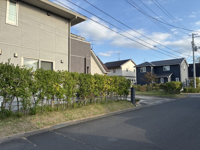 穂波アイビー駐車場の駐車場写真