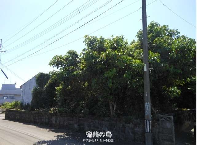  亀津東区（徳之島合同庁舎／ハローワーク近く）