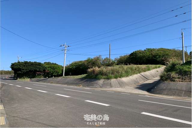 【売土地】伊仙町木之香　県道際高台　沖永良部一望できます！！