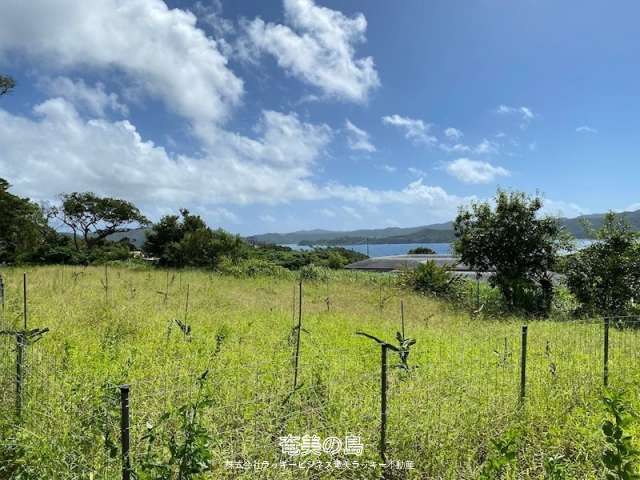 土地 芦徳長浜売地