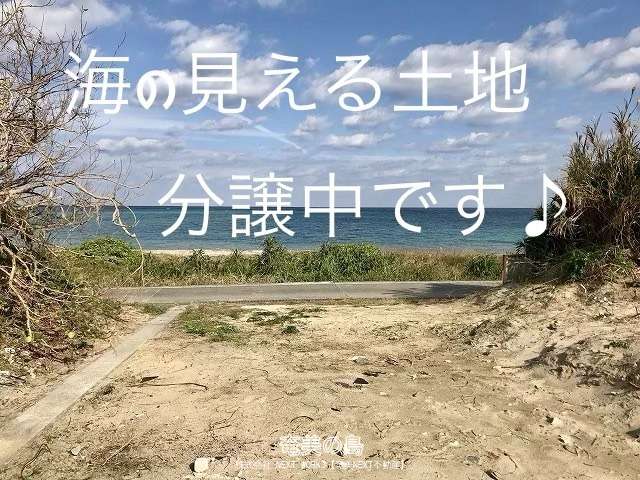 奄美市名瀬朝仁549番地