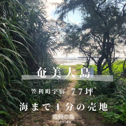【売地】✨奄美大島✨450万✨77坪の売地（笠利町宇宿）