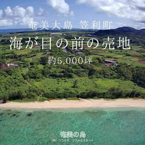 奄美大島♪海が目の前♪売地 約5000坪♪笠利町 須野