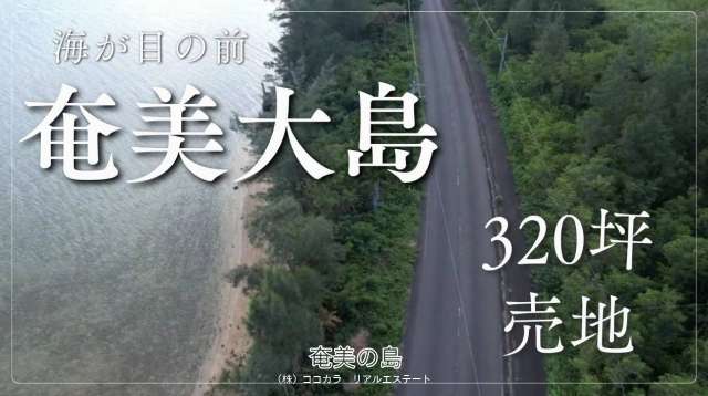 奄美大島♪海が目の前♪売地♪（笠利町 手花部）