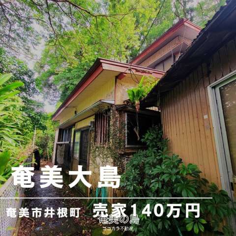 奄美大島✨ 売家✨奄美市井根町✨高千穂神社そば✨