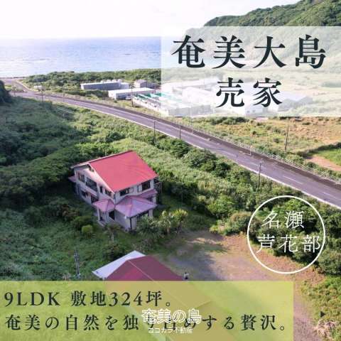 奄美市名瀬芦花部