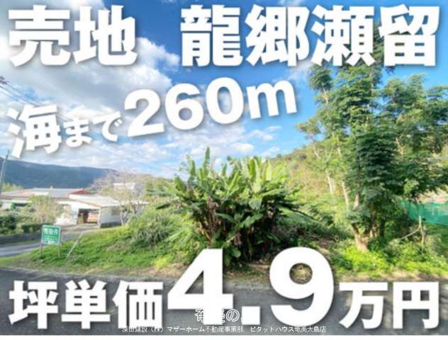 売地 海チカ 龍郷町瀬留