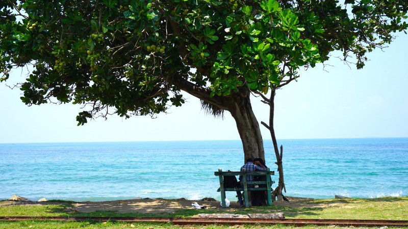 DSC00416-800x533