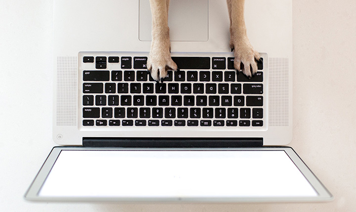 初心者必見 すごく使えるvisual Studioショートカットまとめ 株式会社amg Solution