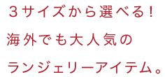 3サイズから選べる!海外でも大人気のランジェリーアイテム。
