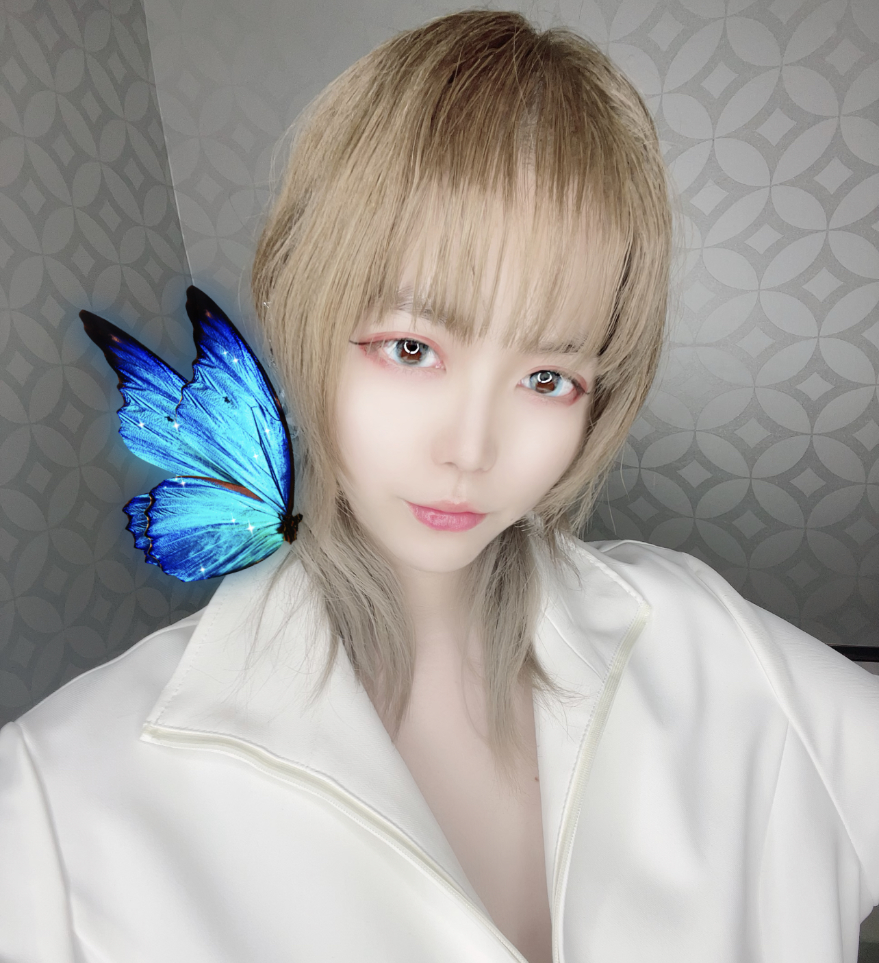 ୧⃛(๑⃙⃘⁼̴̀꒳⁼̴́๑⃙⃘)୨⃛メイン画像
