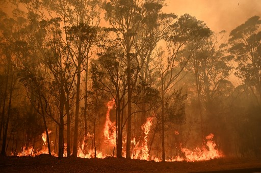 bush fire in the australian outback